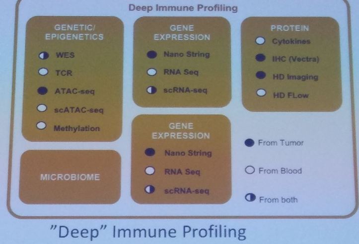 deep immune profiling
